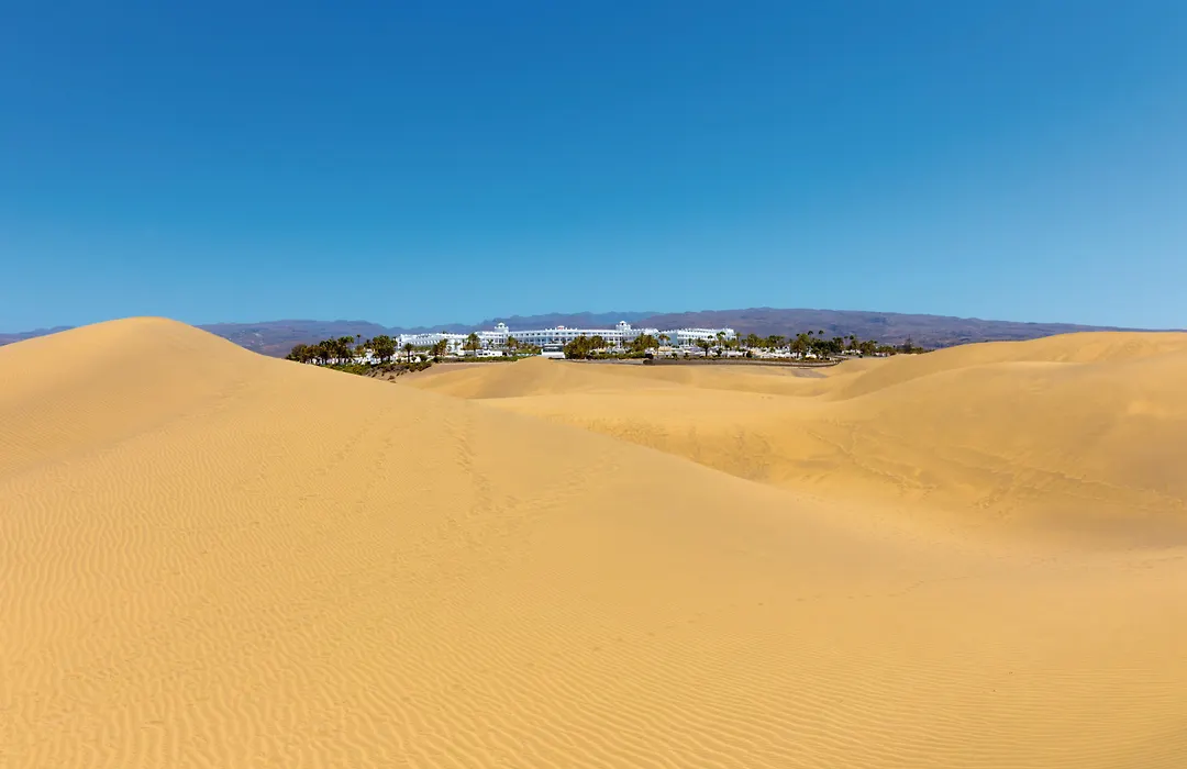 Hotel Riu Palace Maspalomas - Adults Only-1