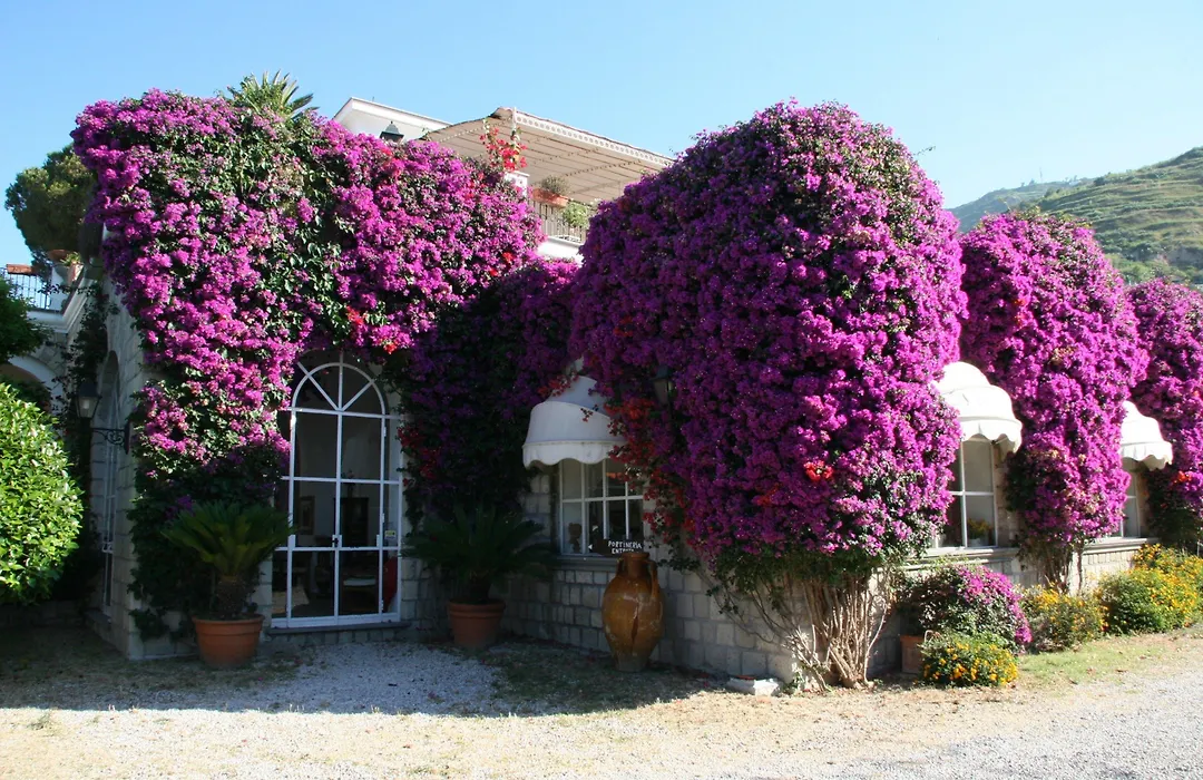 Tenuta Villa Tara-1
