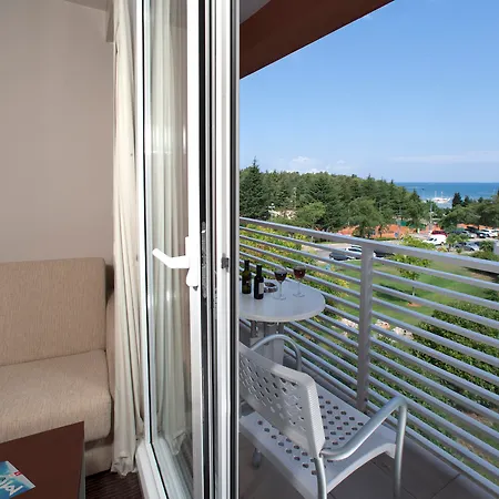 Hotel Albatros Plava Laguna-3