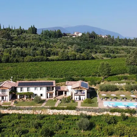 Casa Olivi Apartments-3