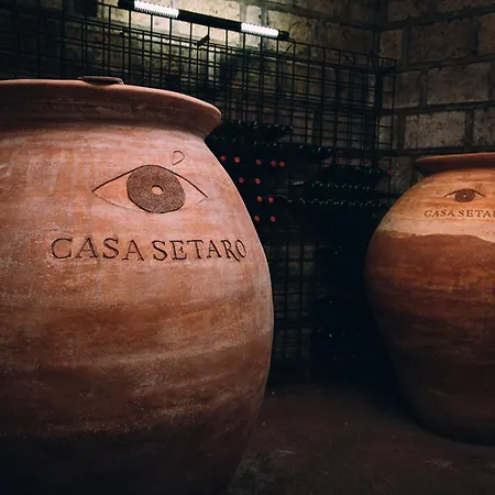 Vigna delle Rose di Casa Setaro-3