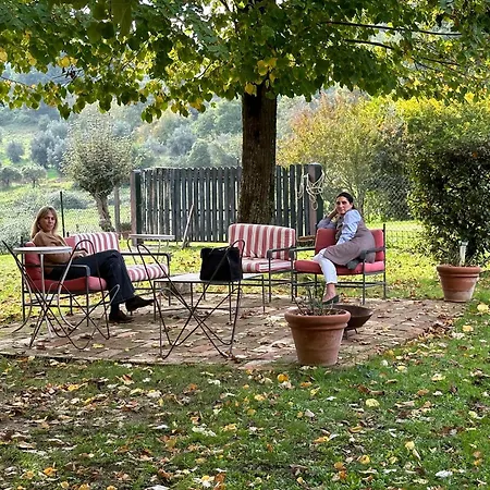 Borgo Montefreddo Toscana-2