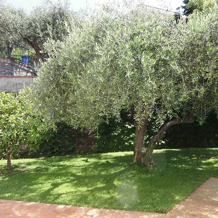 Residence Dei Fiori-2
