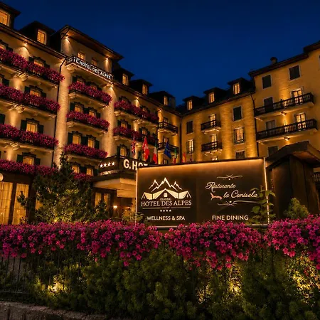 G. Hotel Des Alpes-3