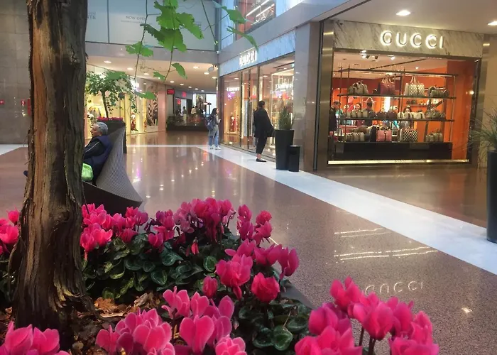 Galleria Cavour