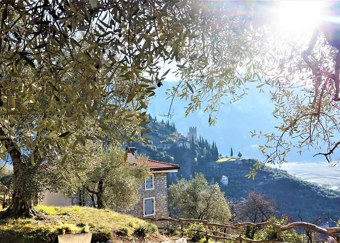 Hotel adatto agli animali: Chalet Laghel - Holiday Home Garda Trentino
