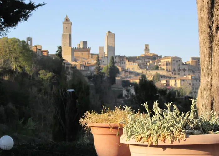  Il Colto