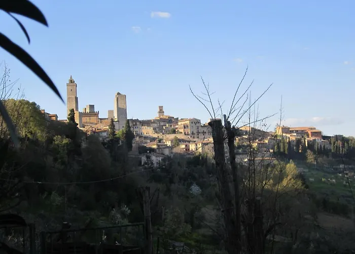  Il Colto