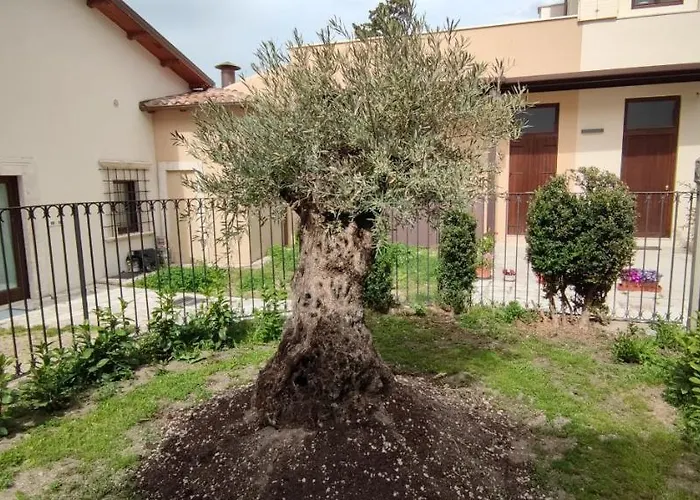 Hotel adatto agli animali: San Marciano Luxury Rooms