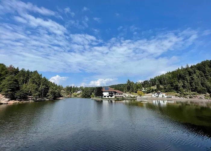 Resort: Hotel Am Wolfgrubenersee