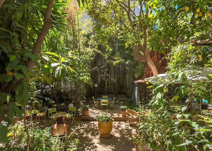 Hotel familiare: Le Windsor, Jungle Art Hotel