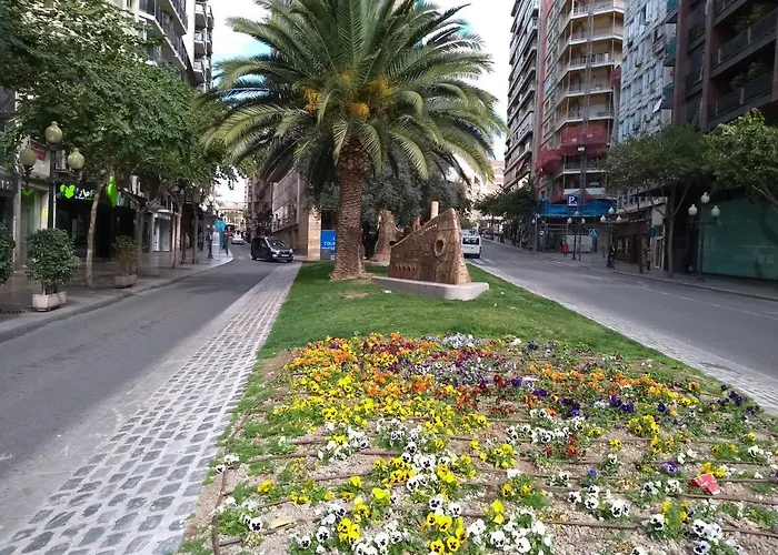 La Estrella De Alicante
