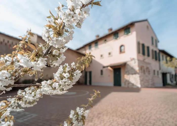 San Francesco