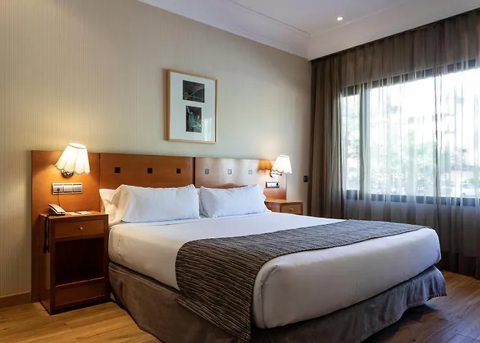 Hotel adatto agli animali: Petit Palace Arturo Soria Alcalá