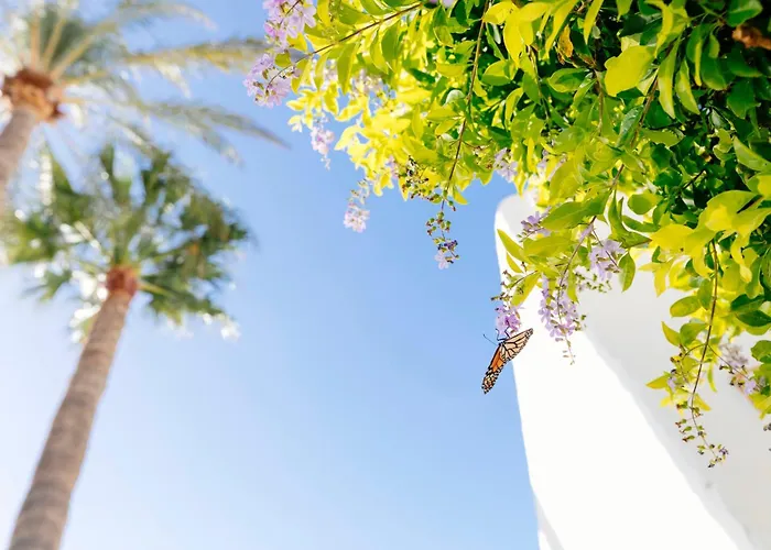 Hotel 3 stelle: Hd Parque Cristobal Tenerife