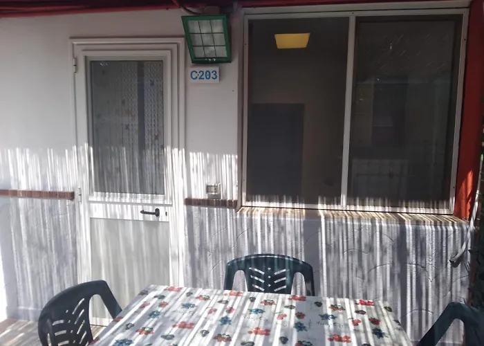 Hotel adatto agli animali: Camping Village Internazionale