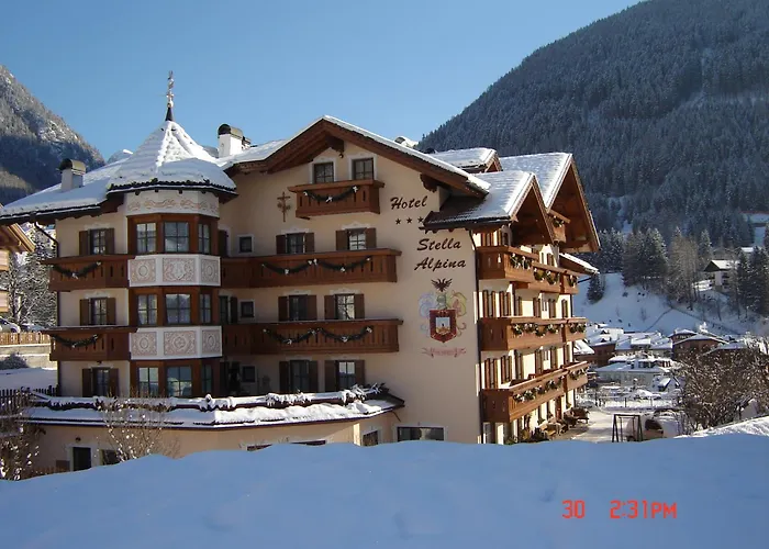 Stella Alpina