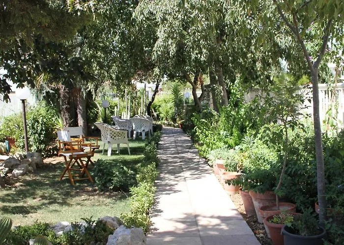 B&B Solacium