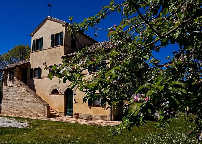 B&B: I Ciliegi