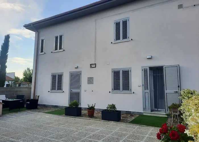 Hotel adatto agli animali: Pisa Town 2