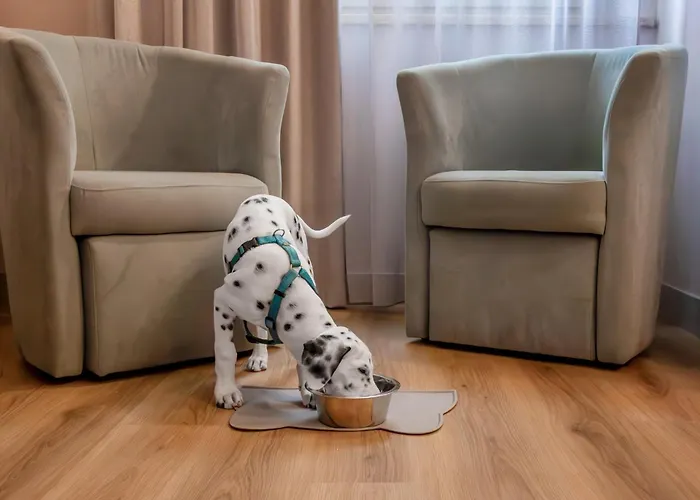 Hotel De La Ville depandance di Hotel Augustus