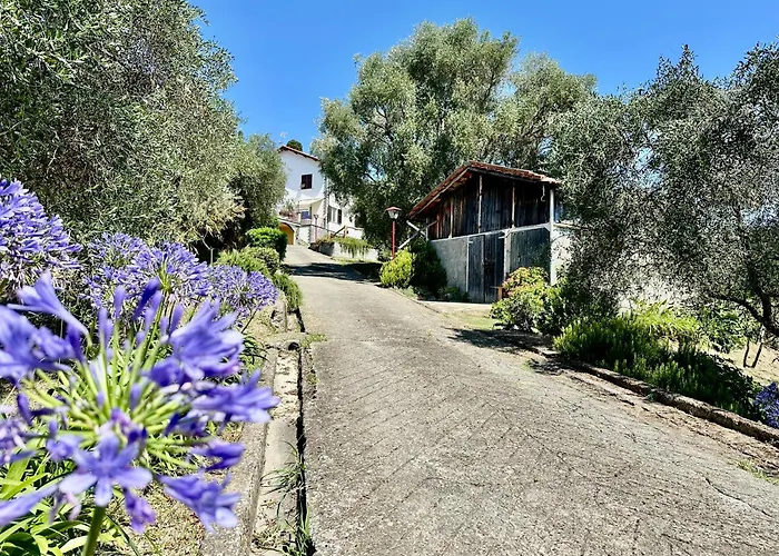 Agriturismo Uliveto Bartolomeo