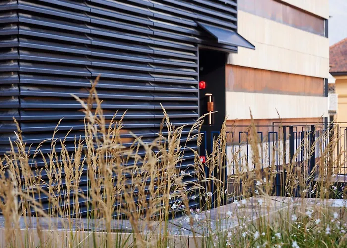Hotel adatto agli animali: Boutique Hotel Badhaus (Adults Only)