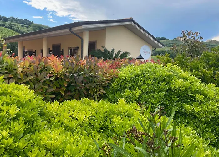 Vigneto - Italian Restaurant&B&B