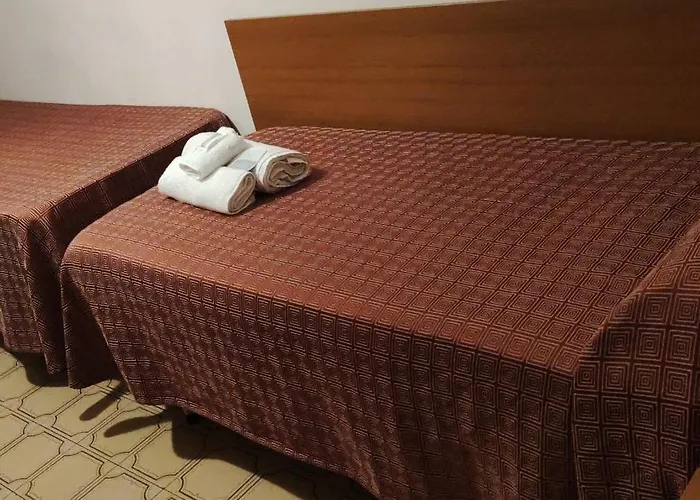 Hotel adatto agli animali: Hotel San Remo