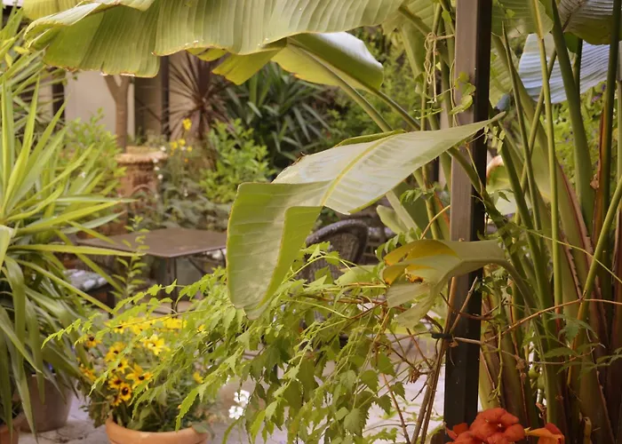 Hotel: La Maison Des Augustins 4 Stars Spa Et Fitness