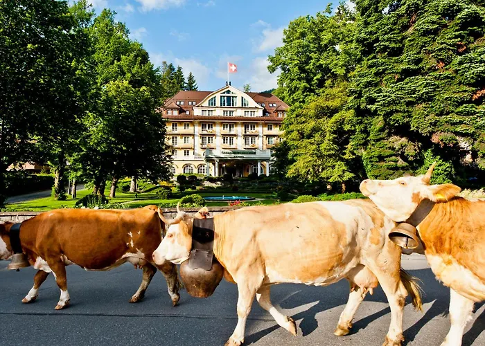 Hotel: Le Grand Bellevue