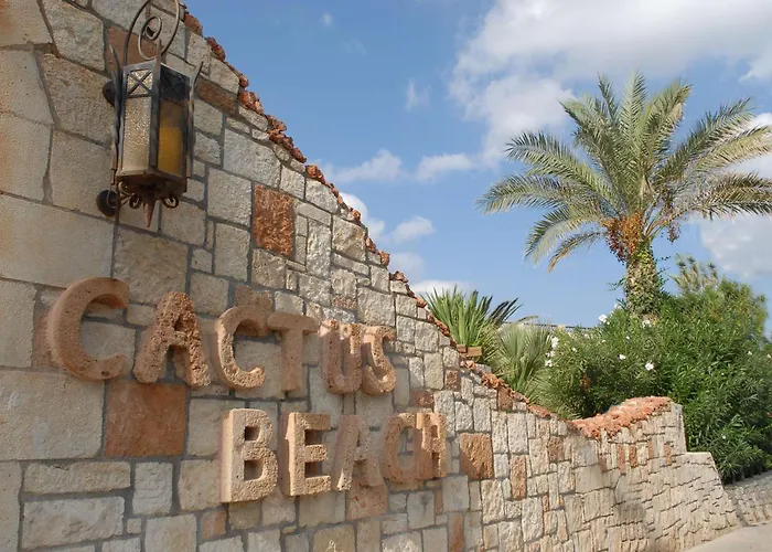 Cactus Beach