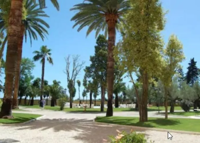 Hotel adatto agli animali: Hotel Villa Fiorita