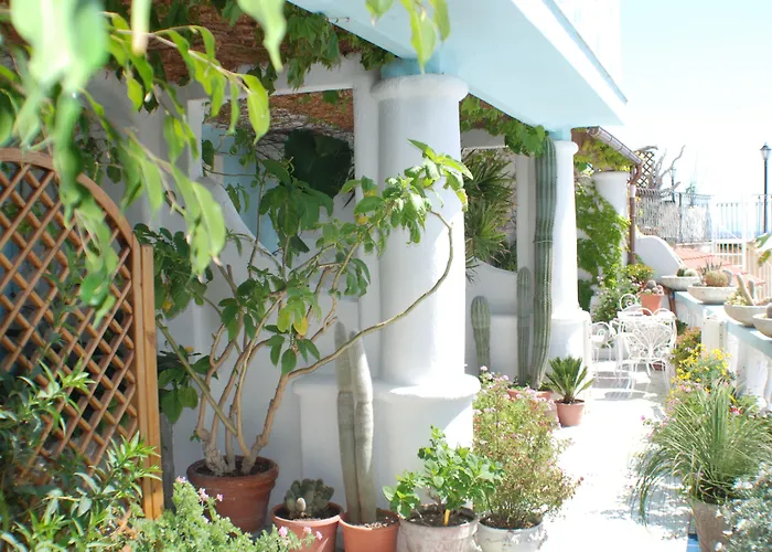 Hotel boutique: Hotel La Palma