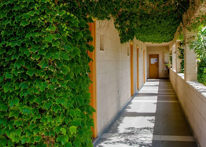 Hotel familiare: Sun Palace Hotel