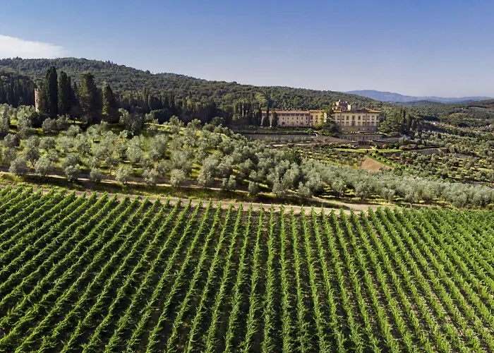 Torre A Cona Wine Estate