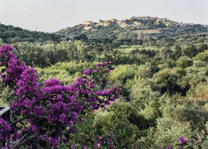 Albergo rurale La corte degli ulivi