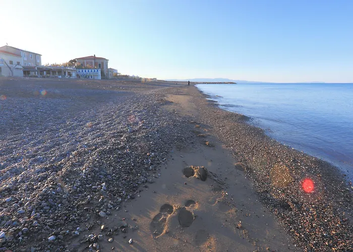 Hotel familiare: Bed & Parking Cecina Rooms