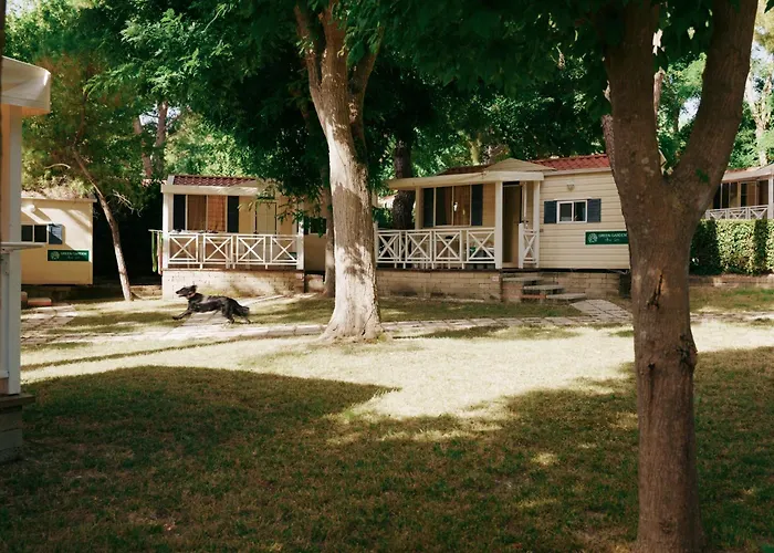 Albergo economico: Green Garden Village