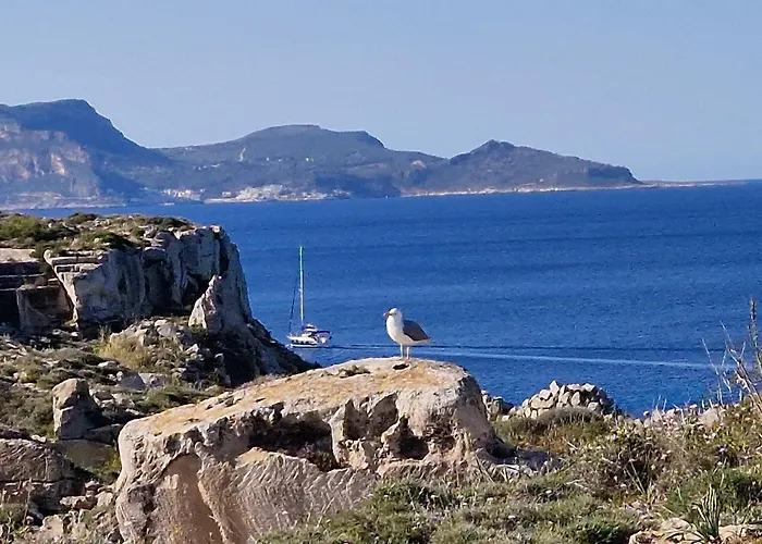 Hotel sulla spiaggia: Miramare Residence
