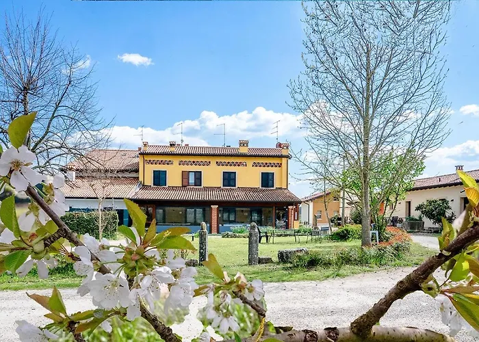 Fior Di Maggio