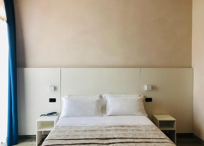 Hotel adatto agli animali: Hotel Rio Bellaria