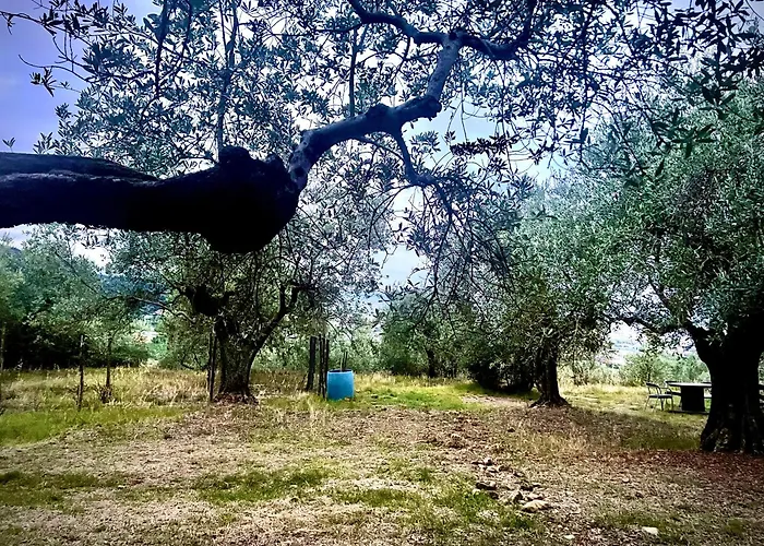  Poggio Alla Pieve Relais