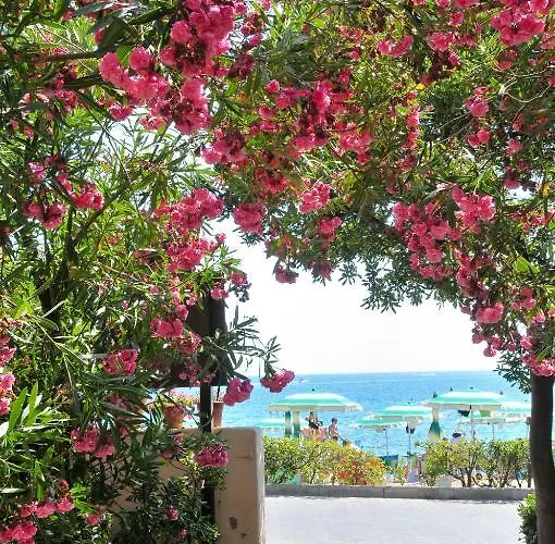Hotel familiare: Hotel Villa Rodriguez
