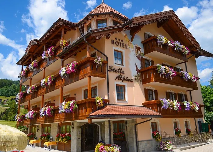 Stella Alpina
