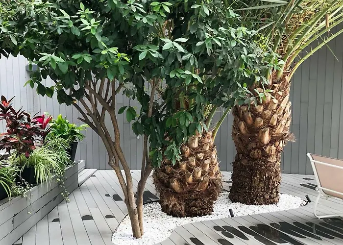 Casa vacanza: Calypso Boutique Apartments - Ceased Trading